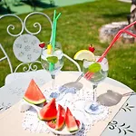 Villa Boutique Pucinum Buzet