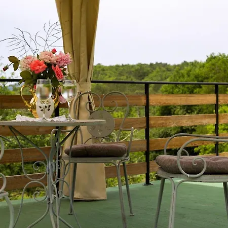 Boutique Pucinum Buzet