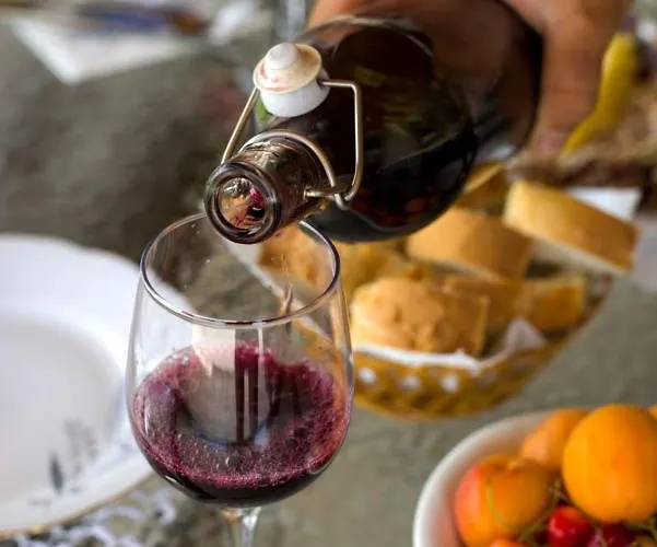 Boutique Pucinum Villa