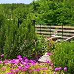 Vila Boutique Pucinum Buzet