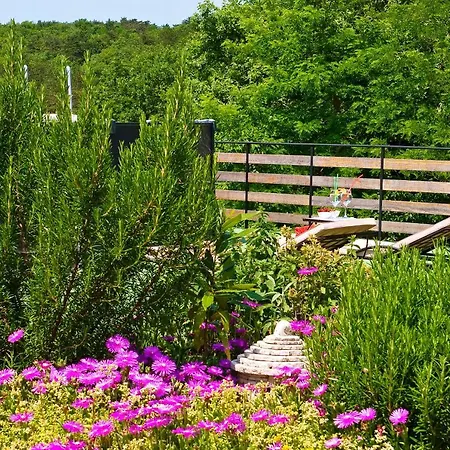 Villa Boutique Pucinum Buzet