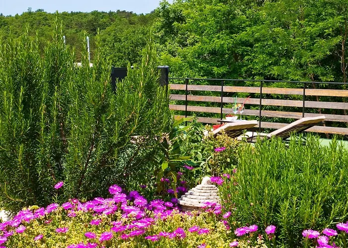 Villa Boutique Pucinum Buzet